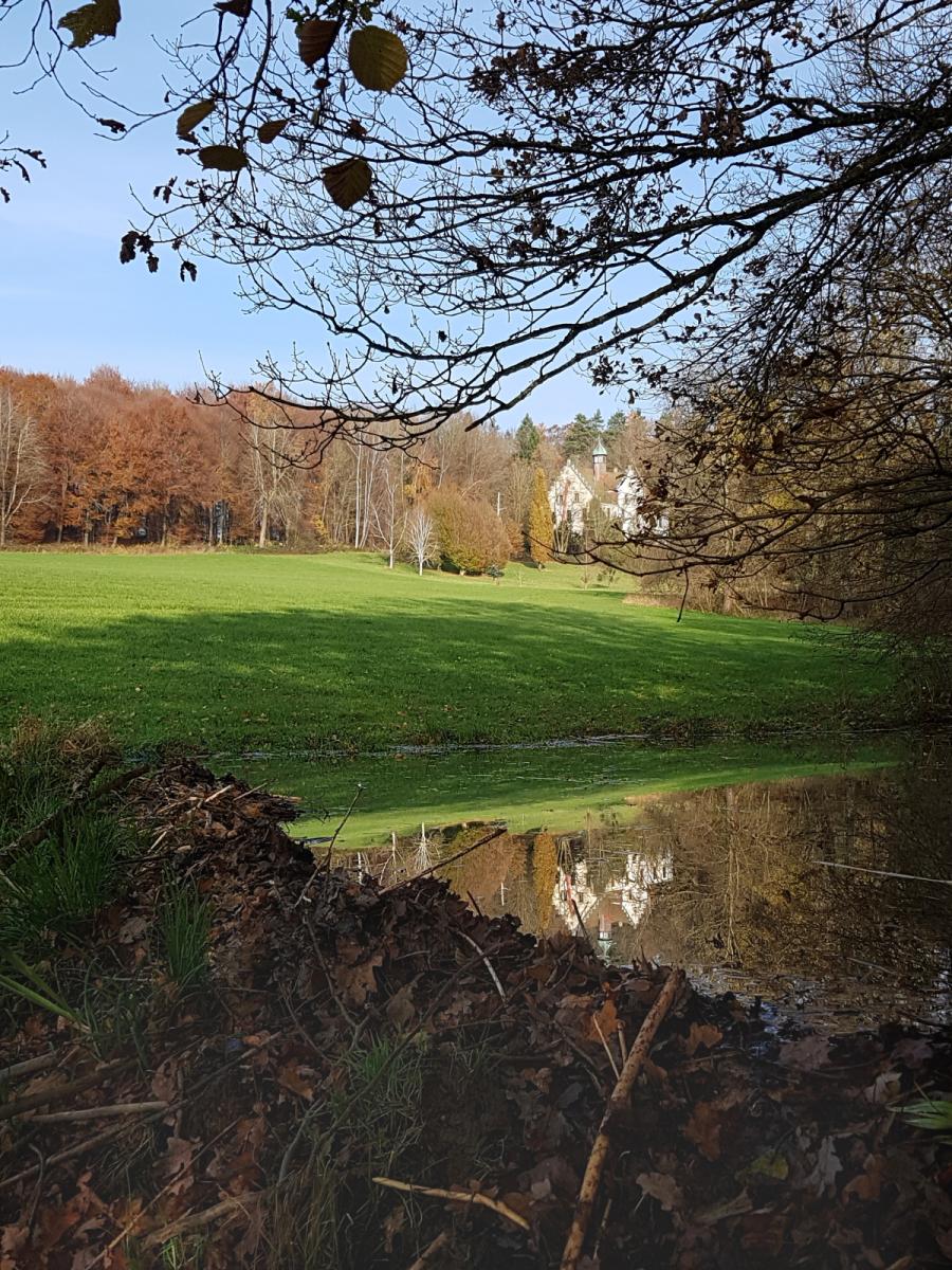 Exotenwald bei Schloss Sommershausen