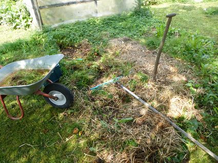 Biogarten Biogemüse Mulchgarten Permakultur Kartoffeln