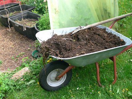 Biogarten Biogemüse Gewächshaus Kompost