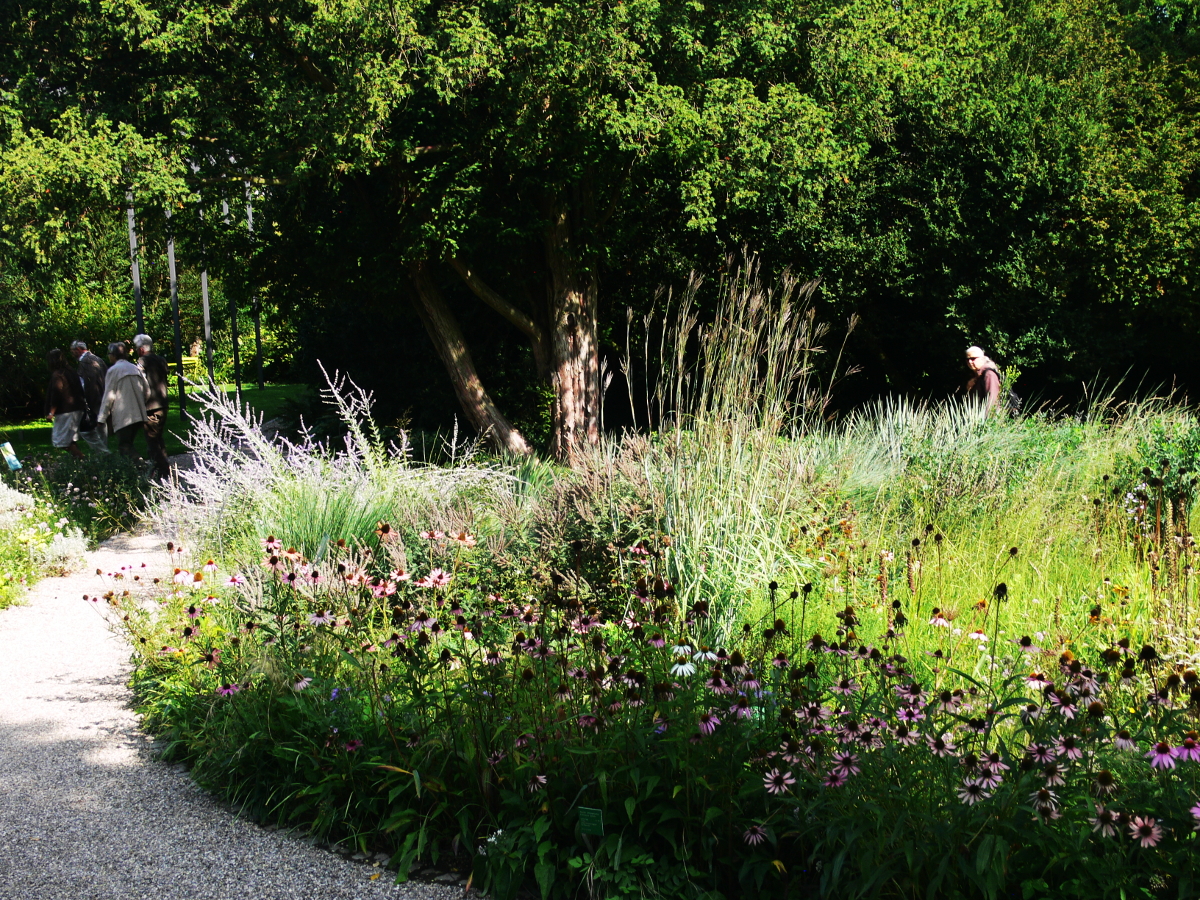 Präriegarten Sichtungsgarten Hermannshof